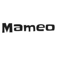 Mameo Solutions Group Inc.