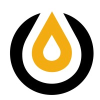 DS1 logo - Similar company to Tspi