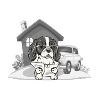K9 Finance logo - Similar company to Zomma Protocol