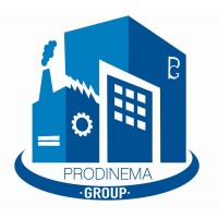 PRODINEMA GROUP logo - Similar company to Validare Sa De Cv