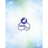 Schazoo Zaka Pvt Ltd logo - Similar company to Cylead Technologies
