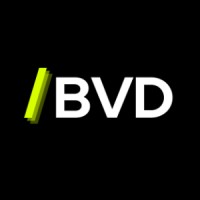 BVD Consulting logo - Similar company to Bvd Consultoria Contábil