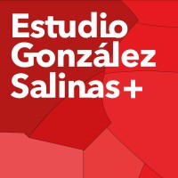 Estudio González Salinas + logo - Similar company to Estudio Sánchez Jara