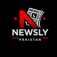 Newsly Pakistan logo - Similar company to Banana Studios
