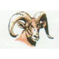 Republic Asset Management Corporation logo - Similar company to Barnes Capital Group