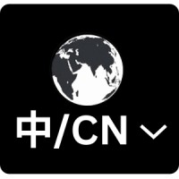 China Translated logo - Similar company to Bigone Lab