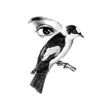 LE SOURCIL par Angélik Iffennecker logo - Similar company to M&G Concept
