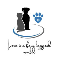 Clinica Veterinaria San Petronio logo - Similar company to Med 2000 Srl Mindray Ultrasuoni Distributore Esclusivo