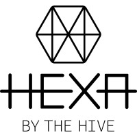 Hexa logo - Similar company to Espacio Wololó