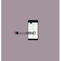 KleverMIND logo - Similar company to Wrap And Track