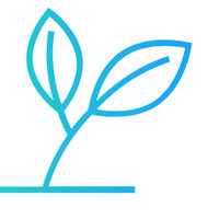 FMCONSULTING
