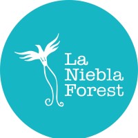 La Niebla Forest