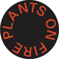 Plants on Fire logo - Similar company to Rhythm Sleep