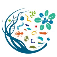 KU Leuven Department of Biology logo - Similar company to Born To Be Microbial