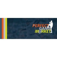 The Perfect Game Foundation