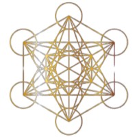 Transfiguration Advisory logo - Similar company to Project Light Foundation