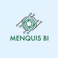 Menquis BI logo - Similar company to Skol Solutions