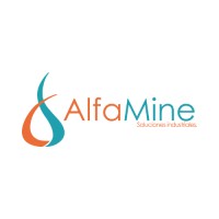 AlfaMine logo - Similar company to Azeez Amida Foundation