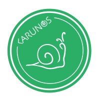 KARUNOS Group logo - Similar company to Gba Trans Inc.