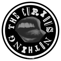 (the) curious nothing logo - Similar company to Fulgur Press