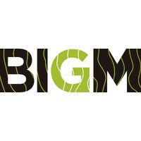 BIGM CIVIL ENGINEERS, S.L. logo - Similar company to Ecomex