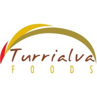 Turrialva S.A. de C.V. logo - Similar company to Gs Inversiones, S.A. De C.V.