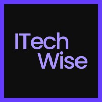 ITech Wise logo - Similar company to Mlayer Protocol