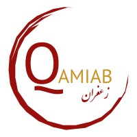Qamiab logo - Similar company to Association Aïda
