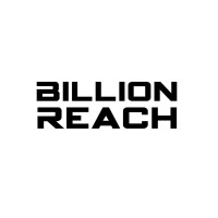 Billion Reach logo - Similar company to Vetopia
