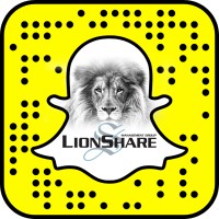 Lions Share Management Group logo - Similar company to Lighthouse Pmc