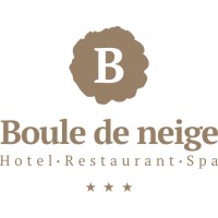 Hotel Boule de Neige logo - Similar company to Chalet Du Lys Hotel & Spa****