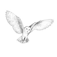 SPEAKIT.DIGITAL logo - Similar company to Speakit