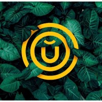 D-Unhas Brasil logo - Similar company to Grupo Sóbrancelhas