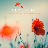 Ecoclicot.com logo - Similar company to Pixelus