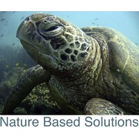 Nature Based Solutions logo - Similar company to Nature-Based Solutions