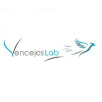 VencejosLab logo - Similar company to 9Ideas Escuela Digital
