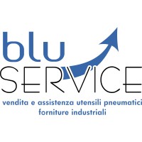 BLU SERVICE SRL logo - Similar company to Datim.It