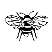 Bumblebee Studio