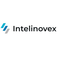 Intelinovex logo - Similar company to Irisgst