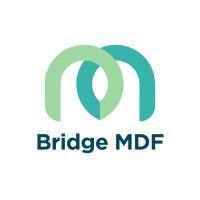 Bridge MDF logo - Similar company to Blort Ai