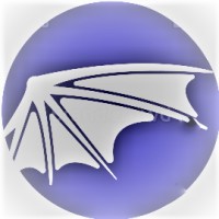 MSN Solutions LLC™ logo - Similar company to Sunny Softech Solutions