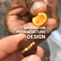 Generation Permaculture Design logo - Similar company to Permaculture Design And Development