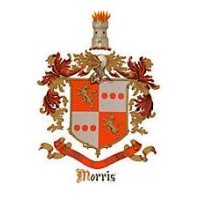 Morris Technology Enterprises, Inc. logo - Similar company to Morris Technology