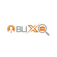 BliXJobs logo - Similar company to Securplus