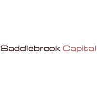 Saddlebrook Capital, LLC logo - Similar company to Grupo La Flauta