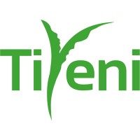 Tiyeni logo - Similar company to Scafffloat