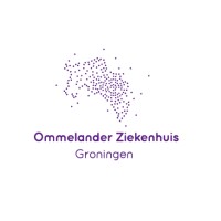 Ommelander Hospital Group logo - Similar company to Treant