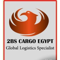 2bs cargo egypt logo - Similar company to Arabisk