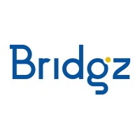Bridgz logo - Similar company to Iih Solutions