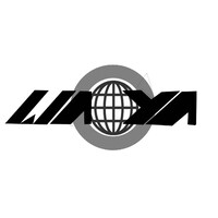 WORLD ASSOCIATION OF YOUNG ARTISTS logo - Similar company to Davis Data Driven Change (D3C)